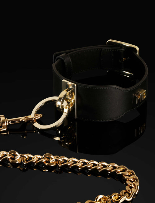 LacyMate™ Leather Collar