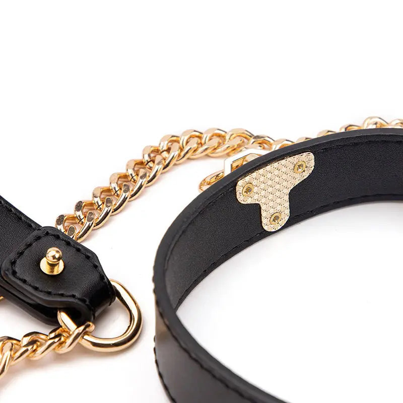LacyMate™ Leather Collar