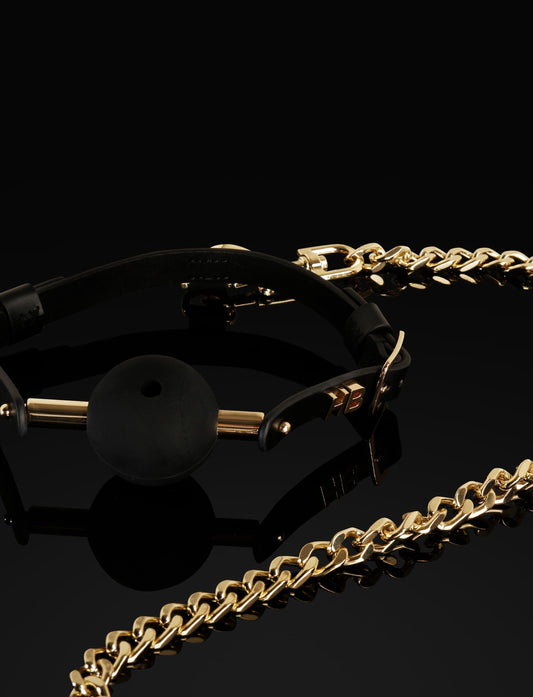 LacyMate™ Leather Bridle & Ball Gag
