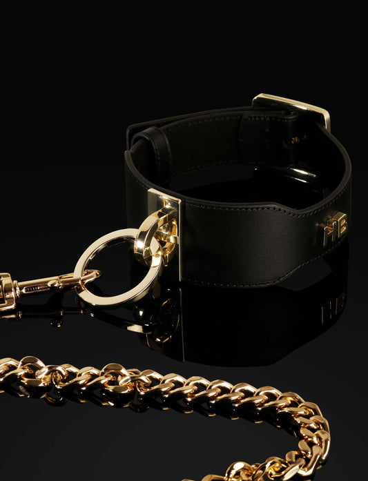 LacyMate™ Leather Collar