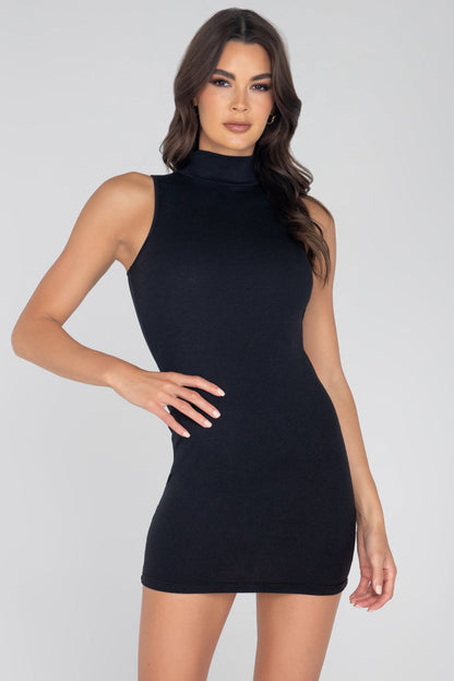 Ribbed Turtle Neck Dress