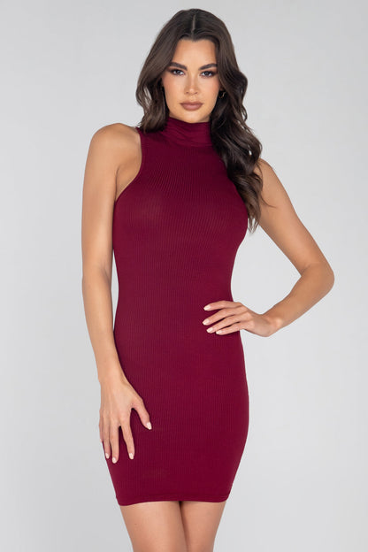 Ribbed Turtle Neck Dress